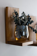 Small plant shelves